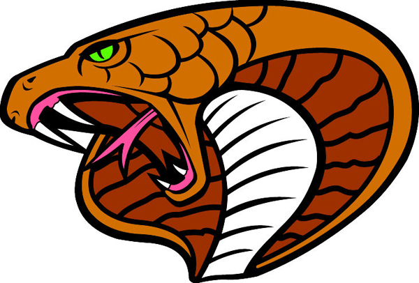 Cobra head team mascot color vinyl sports decal. Personalize on line. Cobra Head